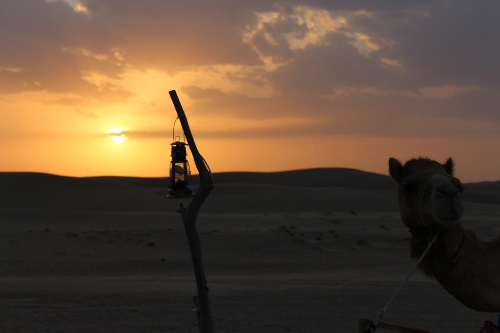 Legend Desert Camp Fulayj al Masha'ikh Екстер'єр фото